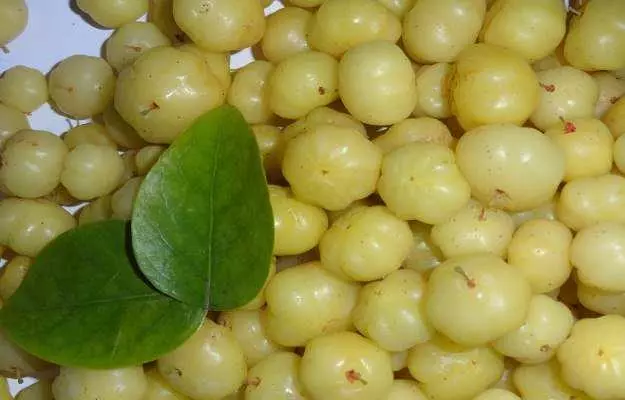 amla-ka-murabba-khane-ke-fayde