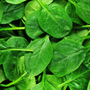 palak